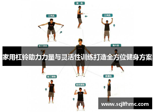 家用杠铃助力力量与灵活性训练打造全方位健身方案