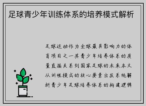 足球青少年训练体系的培养模式解析